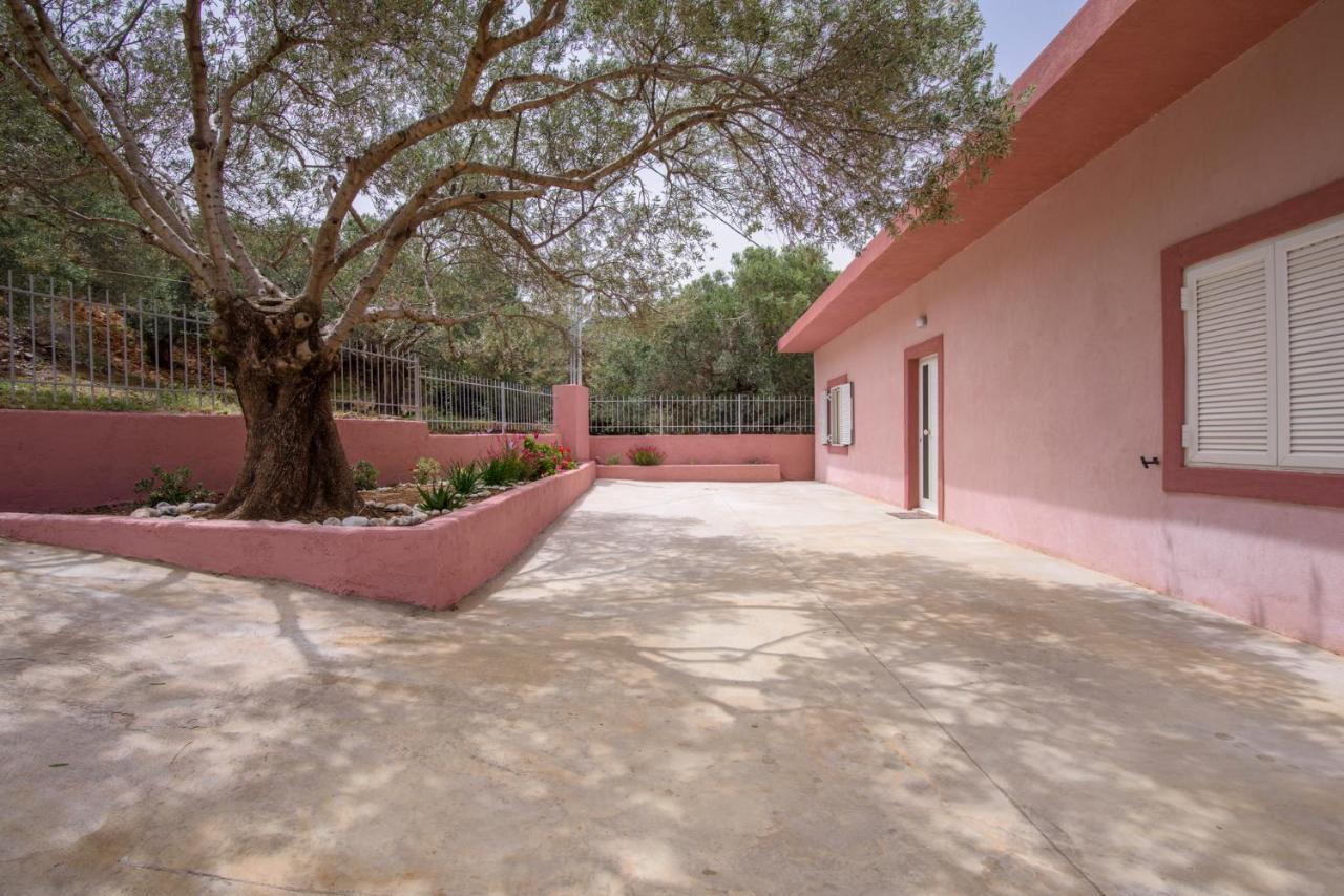 Palm Beach House Sfinárion Dış mekan fotoğraf