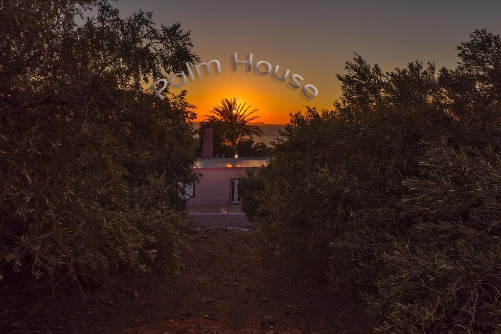 Palm Beach House Sfinárion Dış mekan fotoğraf